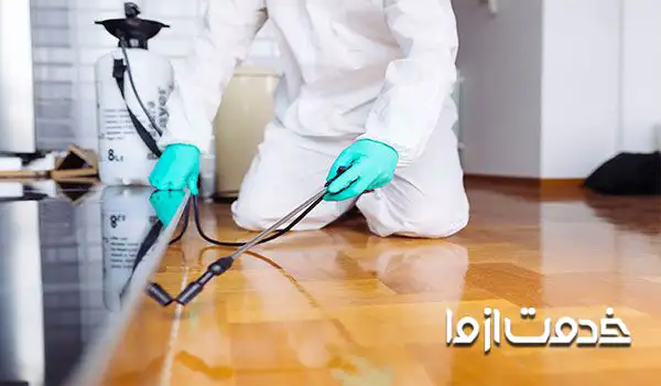 از بین بردن مورچه در خانه